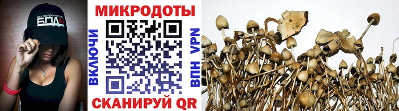 Галлюциногенные грибы Magic Shrooms  наркотики  Павловск 